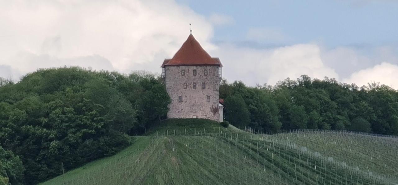 Sali Homes - Gaestehaus Lamm Hotel Obersulm