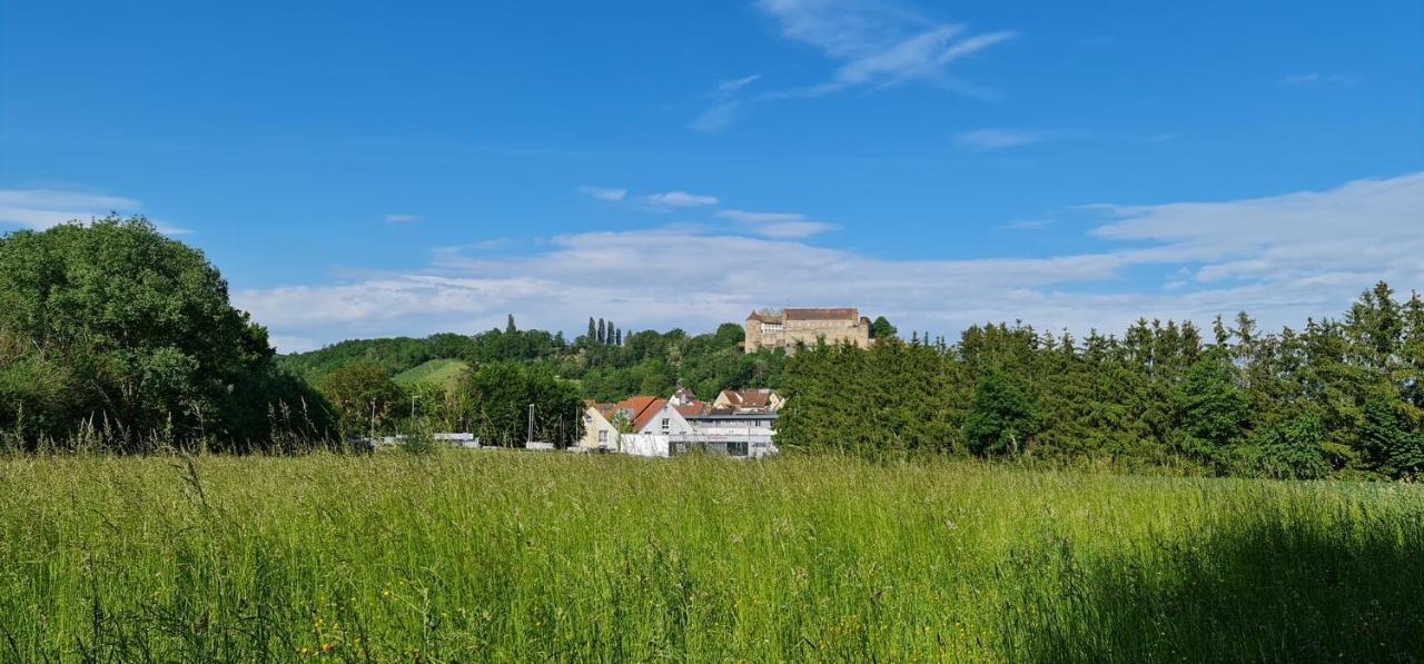 Sali Homes - Gaestehaus Lamm Hotel Obersulm