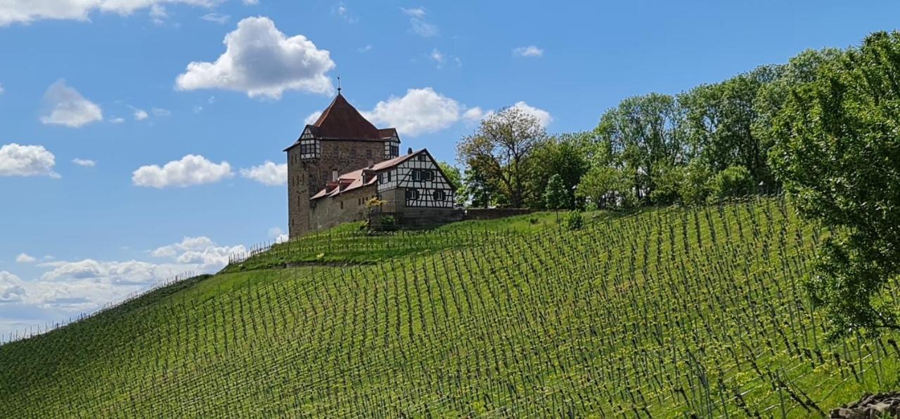 Sali Homes - Gaestehaus Lamm Hotel